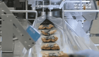 蒲燒鰻魚的工業化生產 從傳統技藝到現代流水線